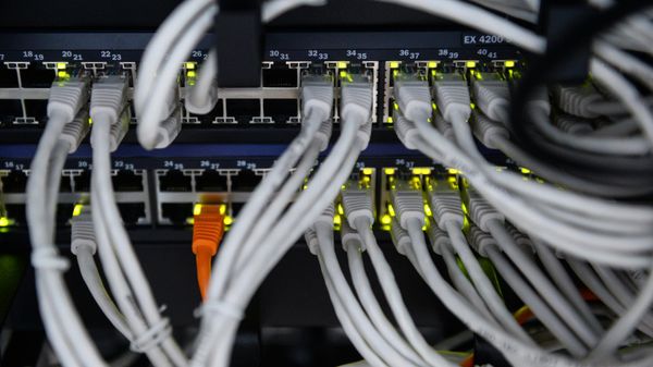 Кабель интернета, фото из архива - Sputnik Азербайджан