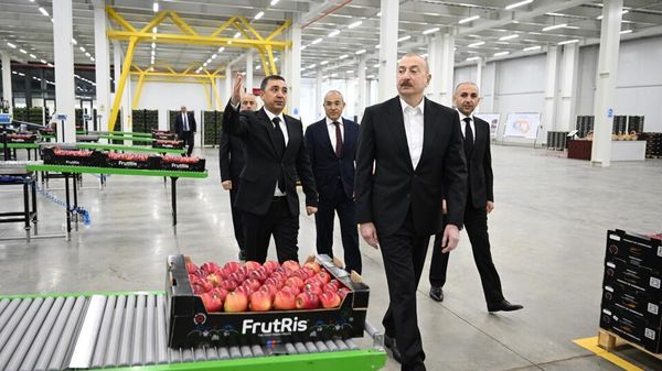 Президент Ильхам Алиев ознакомился с деятельностью садоводческого и холодильно-складского комплекса в Гусарском районе  - Sputnik Азербайджан