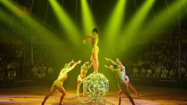 На арене Circus Sea Breeze стартовало новое международное шоу — Аквацирк с тиграми - Sputnik Азербайджан