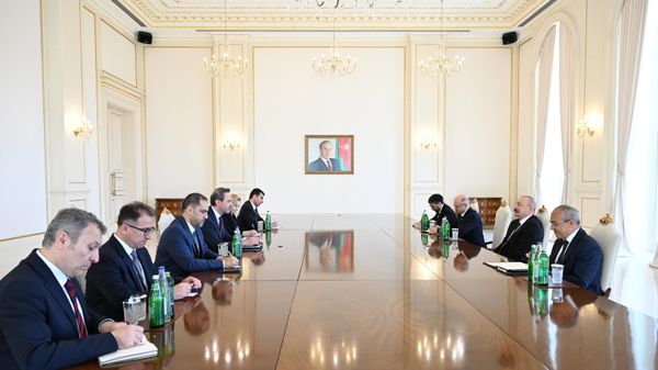 Встреча президента Азербайджана Ильхама Алиева и министра энергетики и природных ресурсов Турции Алпарслана Байрактара - Sputnik Азербайджан