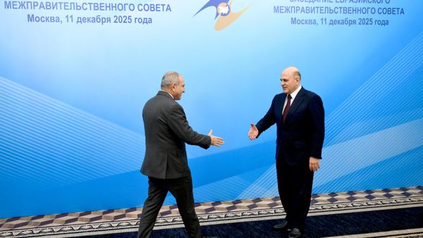 Заседание Евразийского межправительственного совета - Sputnik Азербайджан