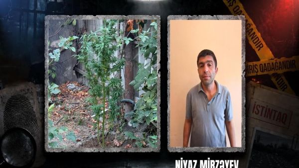 Правоохранители задержали в Гёйчае 39-летнего Нияза Мирзаева, подозреваемого в культивации наркотических растений - Sputnik Азербайджан