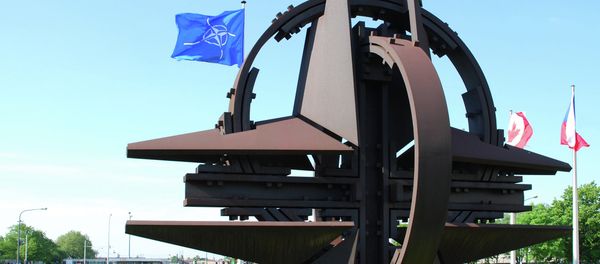 Senior US administration official said that Ukraine's membership in NATO is not being considered by the alliance. - Sputnik Азербайджан