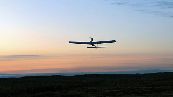 Беспилотный летательный аппарат (БПЛА) - Sputnik Азербайджан