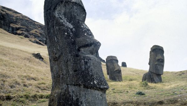 Памятники древнейшего полинезийского искусства - каменные изваяния - моаи - Sputnik Азербайджан