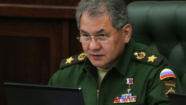 Министр обороны Сергей Шойгу. Министерство обороны Российской Федерации - Sputnik Азербайджан
