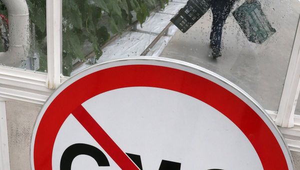 Выращивание овощей в тепличном хозяйстве Калининградской области - Sputnik Азербайджан