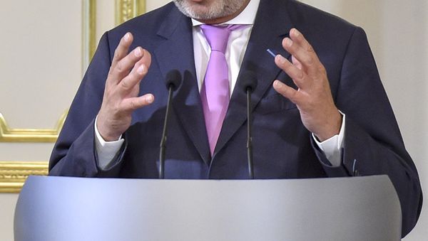 Встреча президента Украины Петра Порошенко и комиссара ЕС по вопросам европейской политики соседства Йоханнес Хана в Киеве - Sputnik Азербайджан