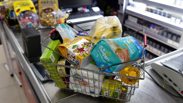 Продуктовая корзина с покупками - Sputnik Азербайджан
