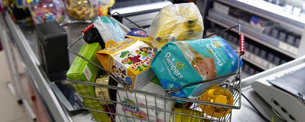 Продуктовая корзина с покупками - Sputnik Азербайджан