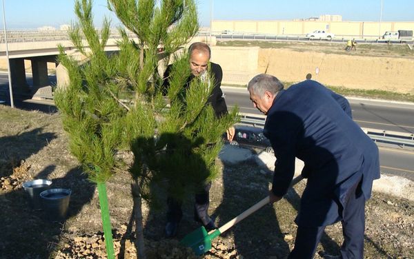 «Азерйолсервис» провело акцию по посадке 5000 саженцев «Азерйолсервис» провело акцию по посадке 5000 саженцев - Sputnik Азербайджан