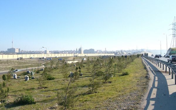 «Азерйолсервис» провело акцию по посадке 5000 саженцев «Азерйолсервис» провело акцию по посадке 5000 саженцев - Sputnik Азербайджан