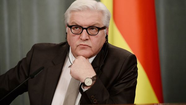 Франк-Вальтер Штайнмайер. Архивное фото - Sputnik Азербайджан