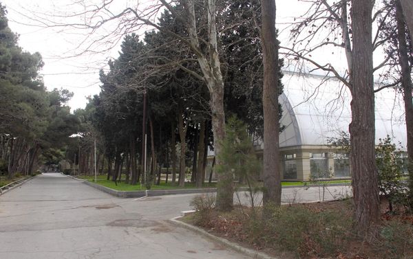 Центральный ботанический сад - Sputnik Азербайджан