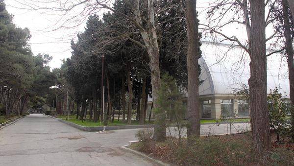 Центральный ботанический сад - Sputnik Азербайджан