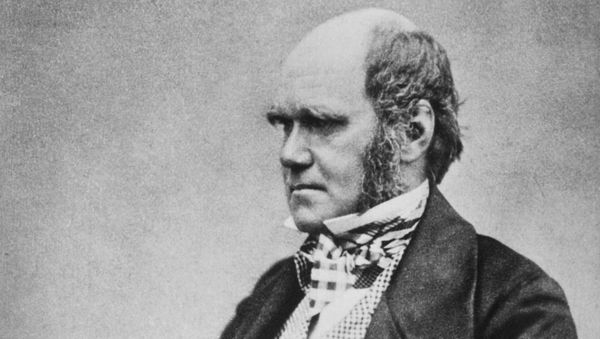 Чарльз Роберт Дарвин в 1854 году - Sputnik Азербайджан