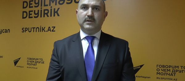 Эксперт: часть нелегальных мигрантов депортирована с территории Азербайджана - Sputnik Азербайджан
