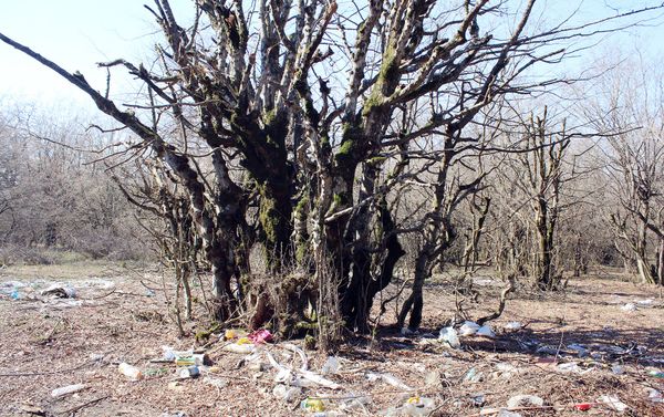 С наступлением лета и сезона отпусков все большее число людей решают выезжать для отдыха на природу - Sputnik Азербайджан