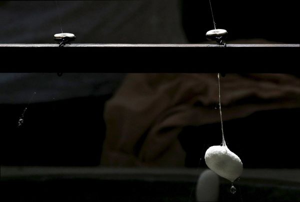 Кокон и шелковая нить - Sputnik Азербайджан