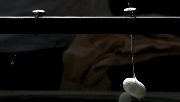 Кокон и шелковая нить - Sputnik Азербайджан