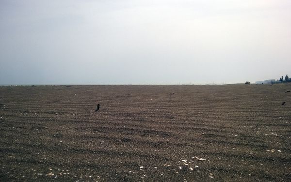 Естественная среда региона Каспийского моря очень подходит для отдыха людей - Sputnik Азербайджан