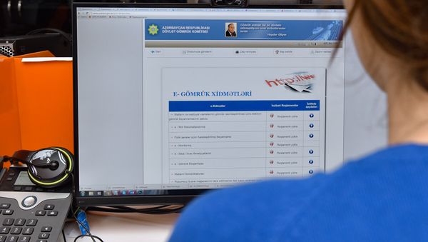 Использование электронных таможенных услуг - Sputnik Азербайджан