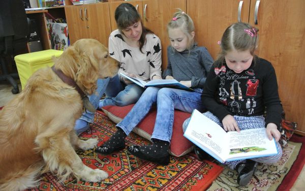 Четырехлапые доктора: как вылечиться, читая собакам книги Четырехлапые доктора: как вылечиться, читая собакам книги - Sputnik Азербайджан