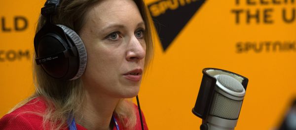 XX Петербургский международный экономический форум. День первый - Sputnik Азербайджан