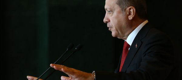 Реджеп Тайип Эрдоган, президент Турции - Sputnik Азербайджан