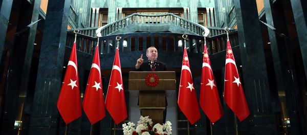 Президент Турции Реджеп Тайип Эрдоган Президент Турции Реджеп Тайип Эрдоган - Sputnik Азербайджан