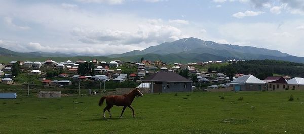 Одним из излюбленных мест отдыха в Азербайджане является село Хошбулаг Дашкесанского района - Sputnik Азербайджан