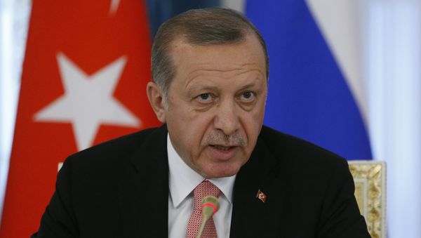 Türkiyə prezidenti Rəcəb Tayyip Ərdoğan rusiyalı həmkarı Vladimir Putinlə görüş zamanı. Sankt-Peterbuqr, 9 avqust 2016-cı il - Sputnik Азербайджан