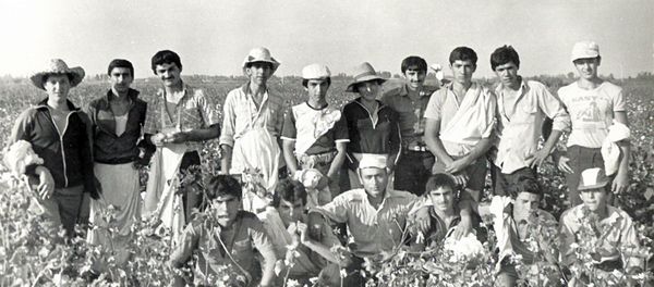 Сбор хлопка. Бардинский район, 1985 год - Sputnik Азербайджан