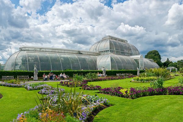 Комплекс ботанических садов и оранжерей Royal Botanic Gardens, Kew. Сады созданы были в 1759 году, а общая площадь равна 121 гектару - Sputnik Азербайджан