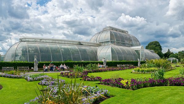 Комплекс ботанических садов и оранжерей Royal Botanic Gardens, Kew. Сады созданы были в 1759 году, а общая площадь равна 121 гектару - Sputnik Азербайджан