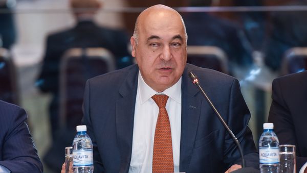 Председатель Фонда стран Черного и Каспийского морей, профессор, доктор юридических наук Чингиз Абдуллаев - Sputnik Азербайджан