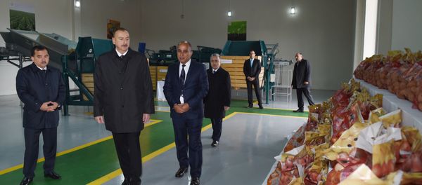 Ильхам Алиев принял участие в презентации сельского фермерского хозяйства Биринджи Шихлы - Sputnik Азербайджан