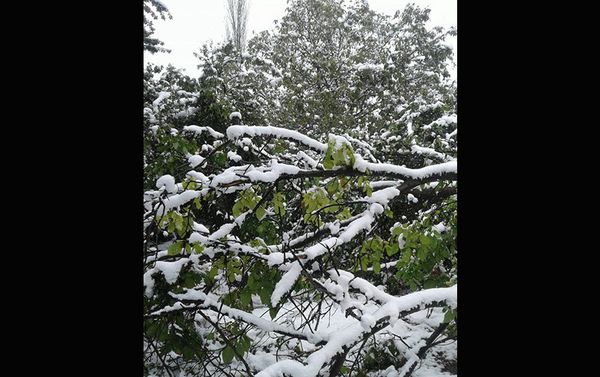 Жители Гонагкенда говорят, что, несмотря на их многократные обращения в соответствующие органы, никаких действий не предпринято - Sputnik Азербайджан