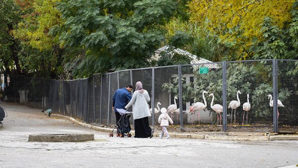 Bakı zooloji parkı - Sputnik Азербайджан
