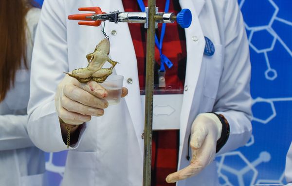 Открытие второго азербайджанского фестиваля науки - Sputnik Азербайджан