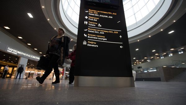 Обновленный терминал Пулково-1 в Санкт-Петербурге - Sputnik Азербайджан