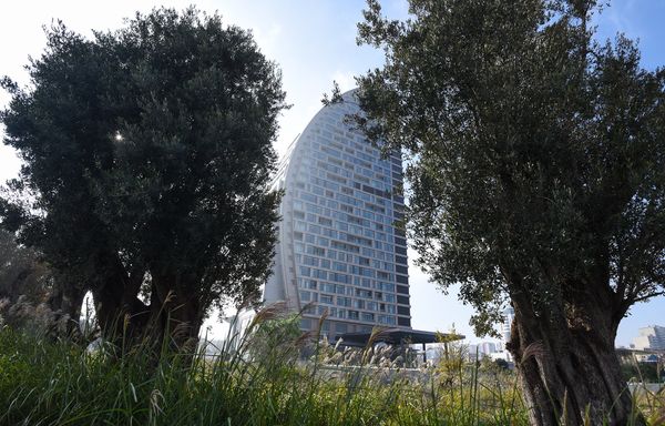 Trump International Hotel & Tower Baku - Sputnik Азербайджан