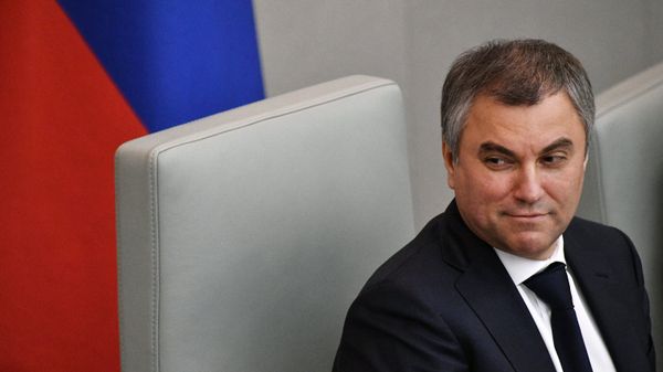 Председатель Государственной Думы РФ Вячеслав Володин - Sputnik Азербайджан