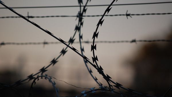 Колючая проволока, фото из архива - Sputnik Азербайджан