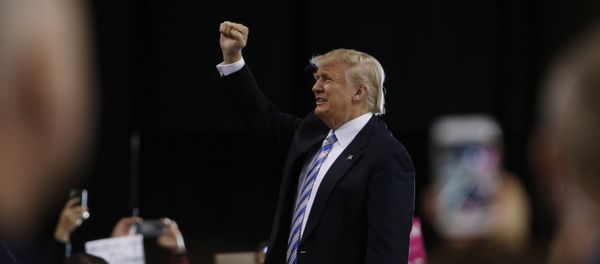 Избранный президент США Дональд Трамп, фото из архива - Sputnik Азербайджан