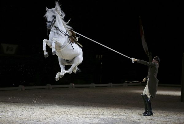 Выступление на лондонской Уэмбли Арене - Sputnik Азербайджан
