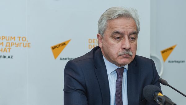 Директор Института философии НАНА Ильхам Мамедзаде - Sputnik Азербайджан