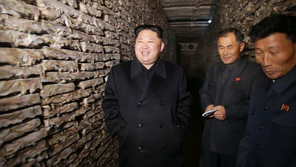 Лидер Северной Кореи Ким Чен Ын, фото из архива - Sputnik Азербайджан