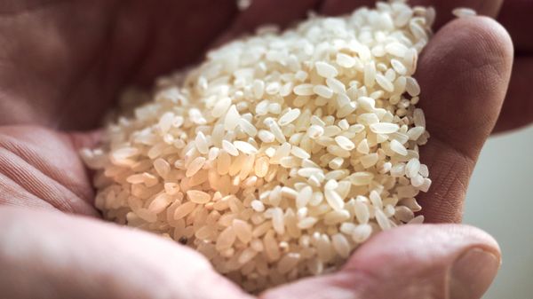 Готовая продукция завода по переработке зерна, собранного на рисовых полях, фото из архива - Sputnik Азербайджан