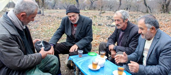 Çobanlar günəş, yağış, qar, isti-soyuq bilmədən ömürlərinin böyük hissəsini çöllərdə, dağlarda keçirirlər - Sputnik Азербайджан